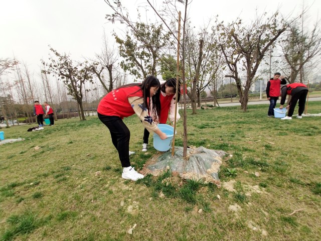 大学生植树节浇水图片图片